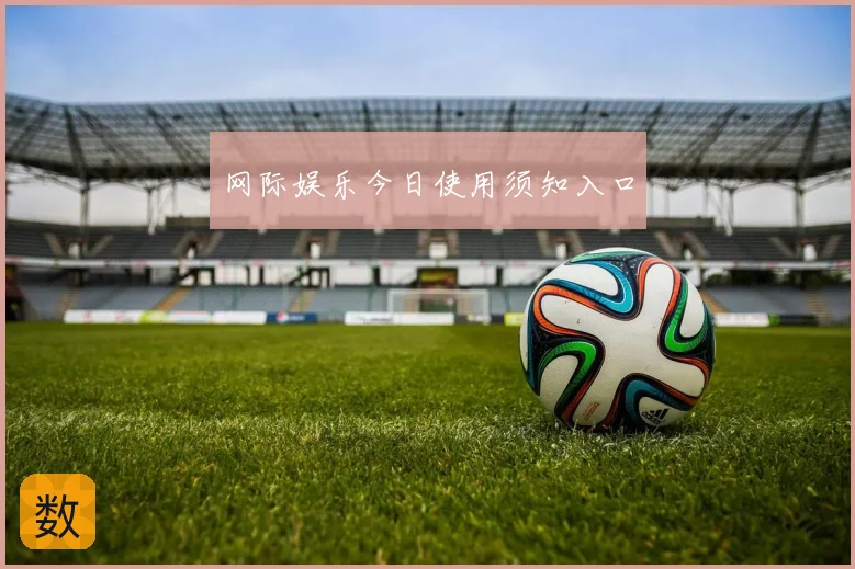 网际娱乐今日使用须知入口